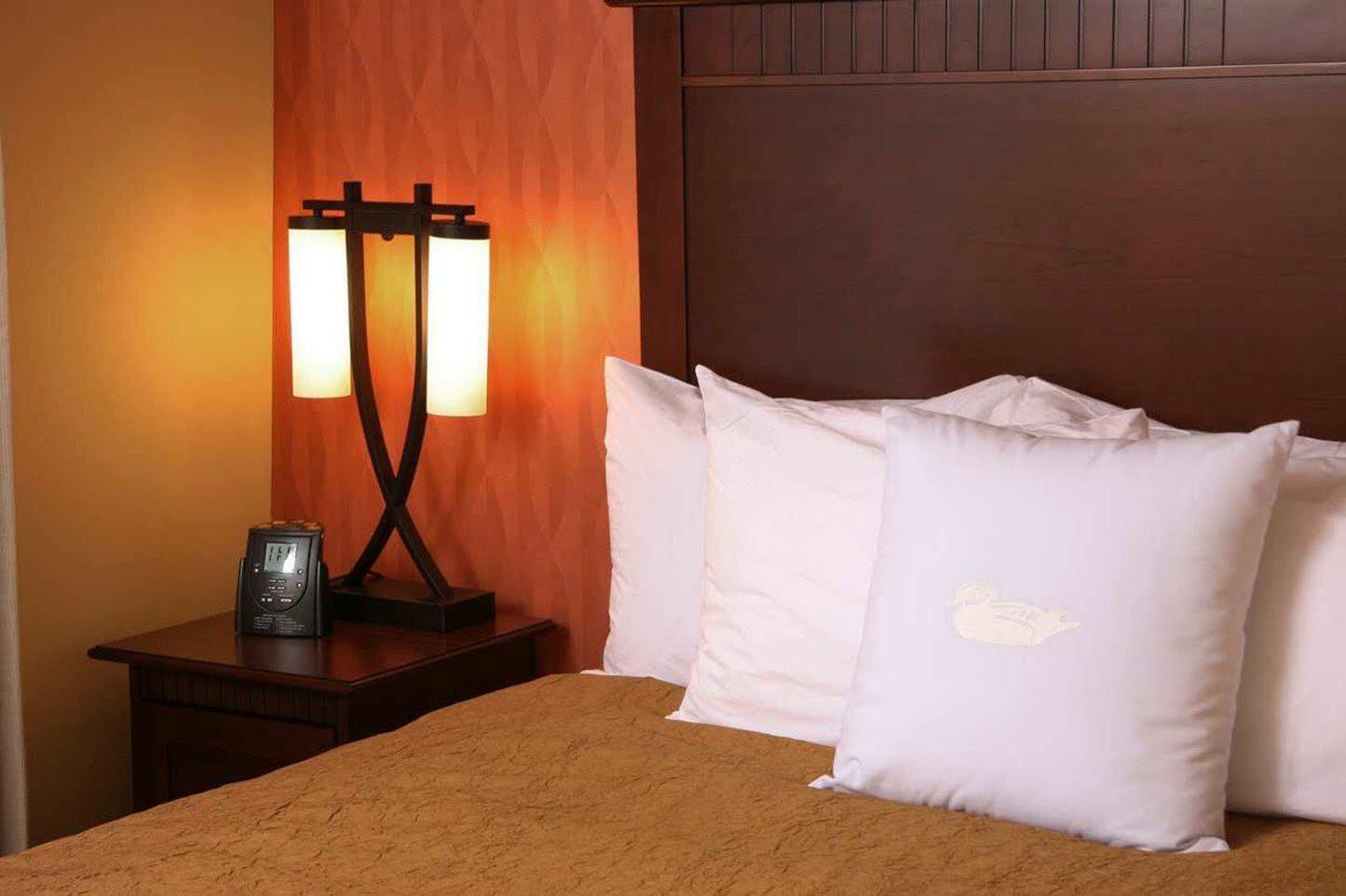 Homewood Suites By Hilton Denver International Airport Aurora Luaran gambar